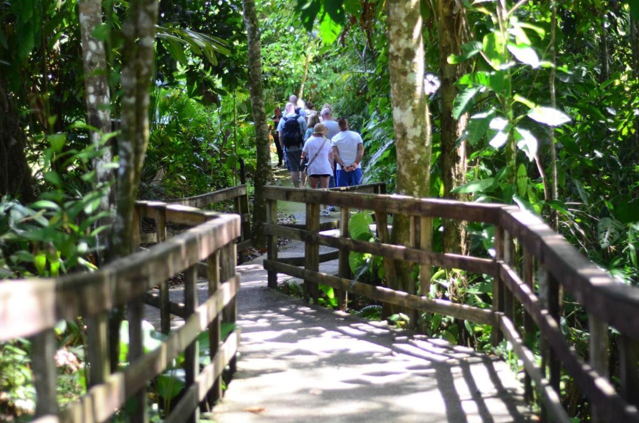 Veragua Rainforest Puerto Limon Dış mekan fotoğraf